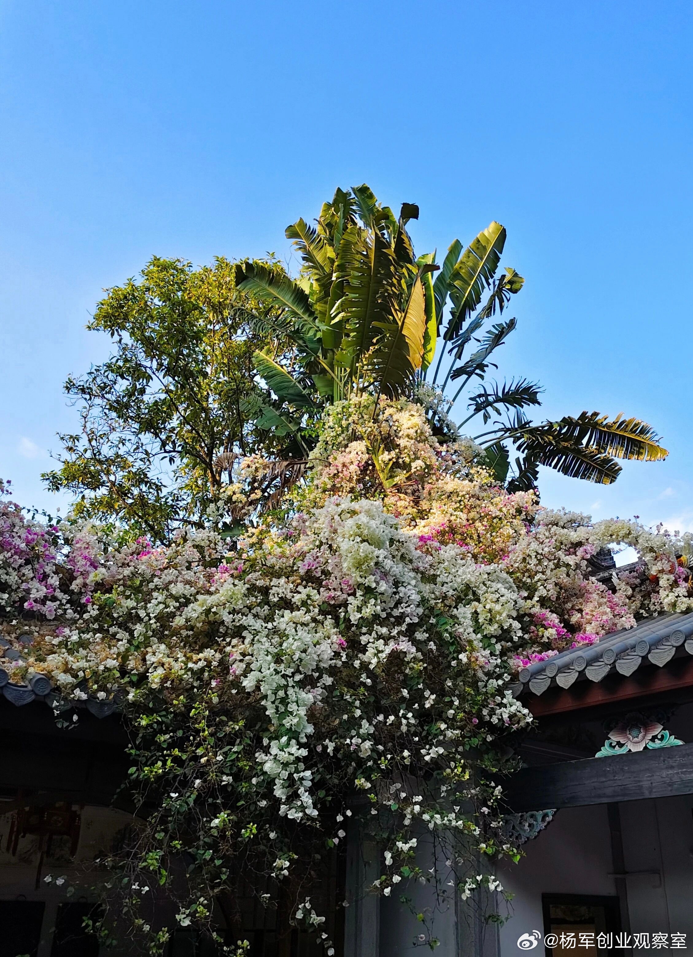 为何团队有股份，依然没有“我要干”的斗志？问题往往出在：你只分了“存量”，没设计