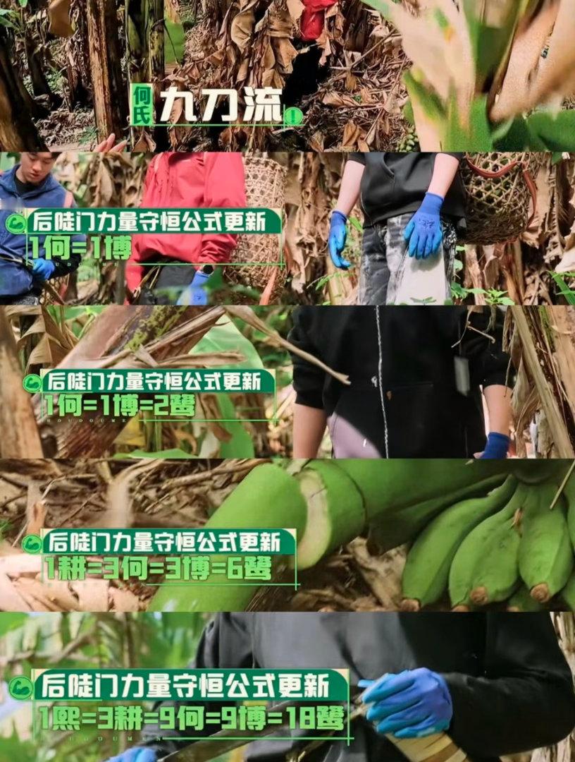 赵小童也在用十个勤天计数法🎈一场小游戏解锁全新交流密码，十个勤天内部专属计数暗