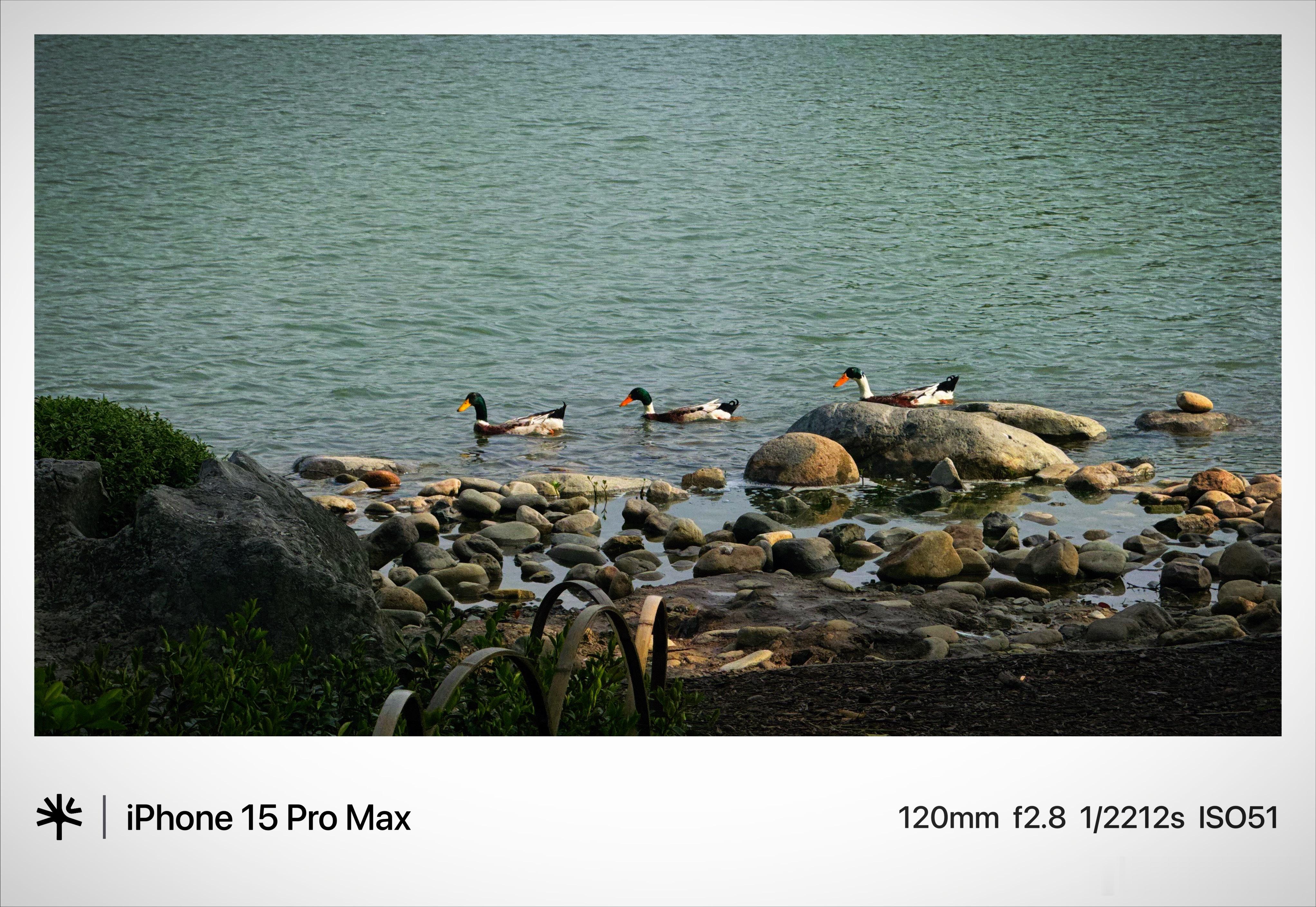 投行泰山的街拍 上海