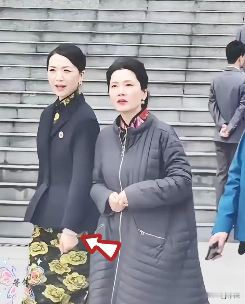 昨天刷到何赛飞在上海
电影节红毯上的照片，
我差点笑喷。红毯上的其他人，全在冷风