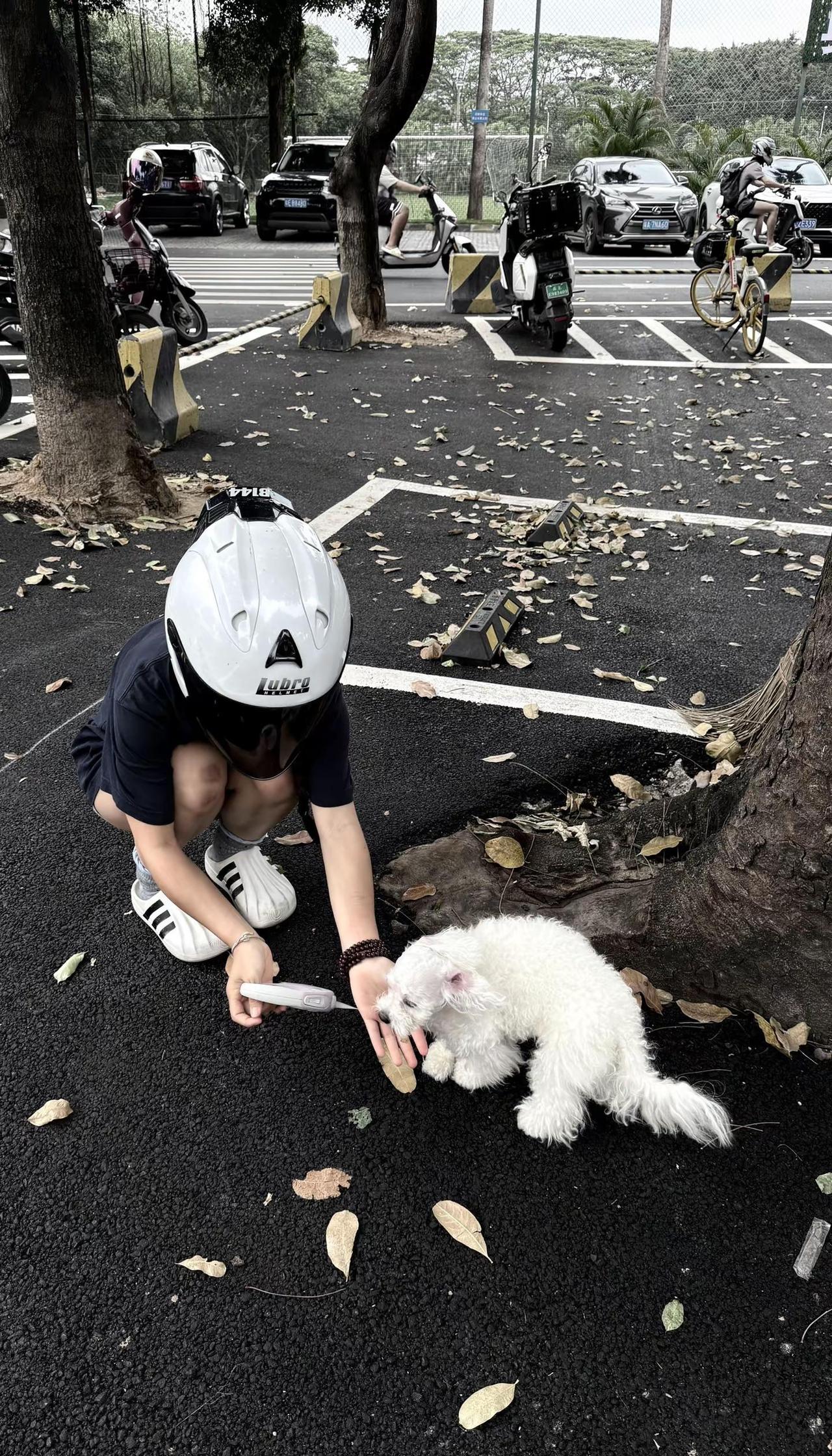 犯错没关系 失去没关系 这些年的浪费也没关系 全都没关系 没有遇到我也没关系.台