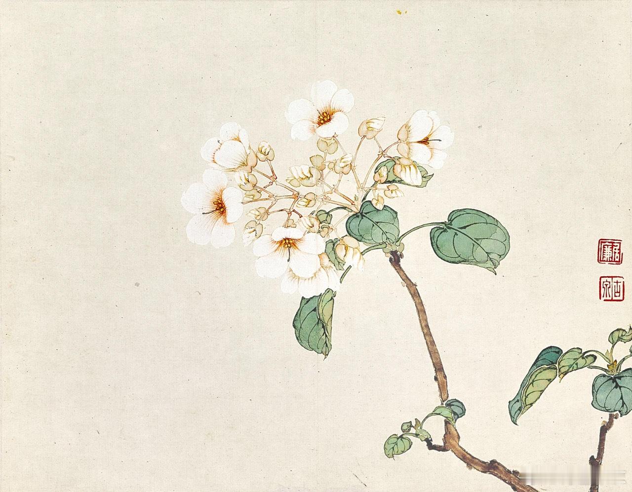 国画中的梨花：朝来带雨一枝春 ​​​