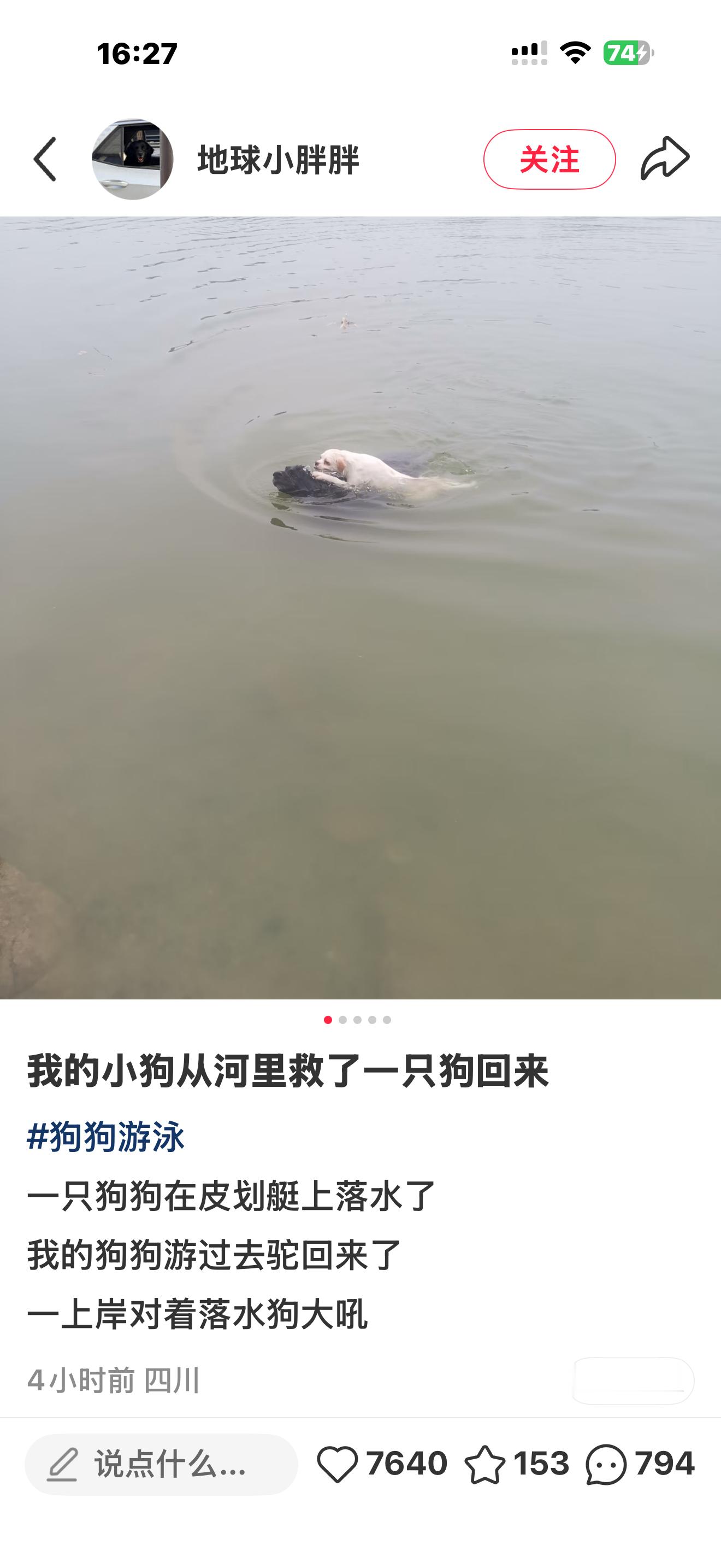 哇，英雄狗狗！！好孩子！ 