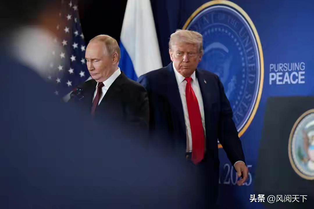 倒计时74天，特朗普又改主意了？俄美乌安全谈判按下暂停键
 
乌克兰局势刚露出一