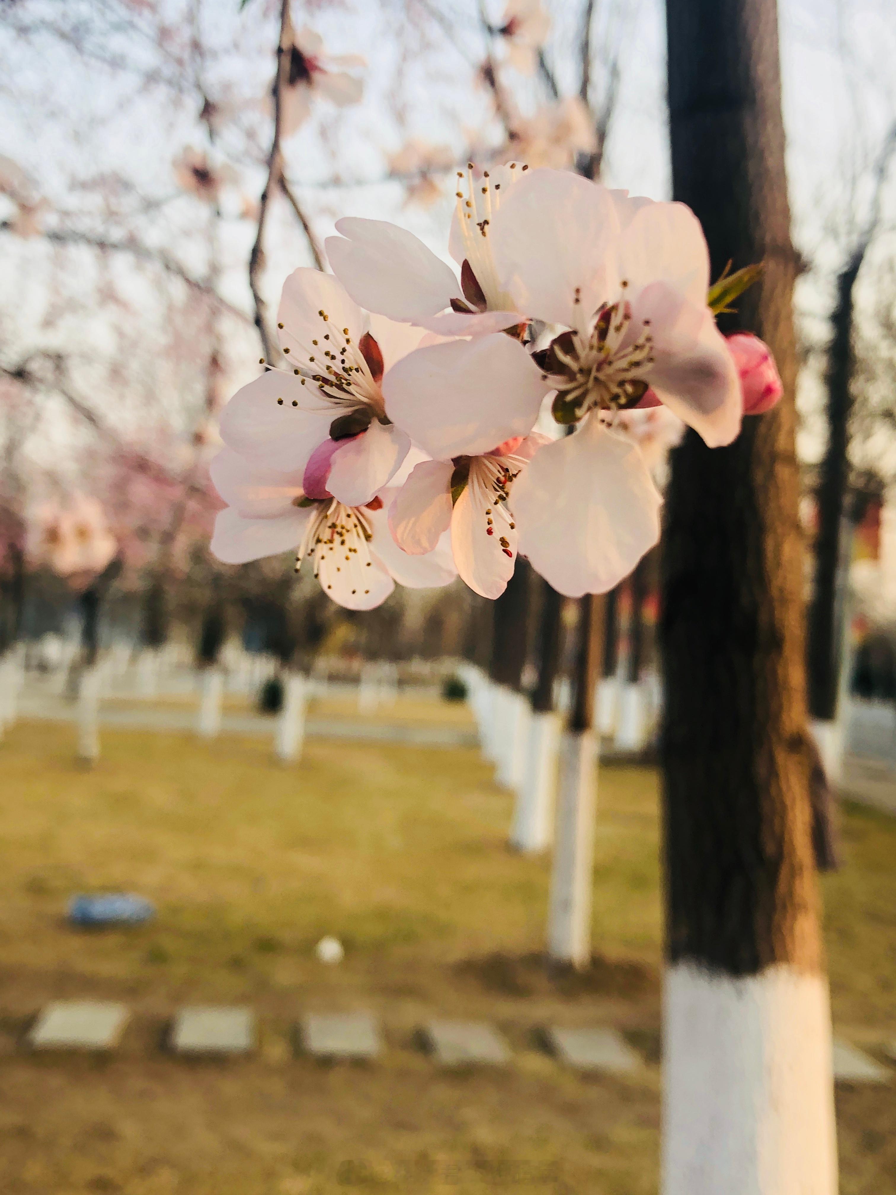 祝高三的小宝高考结束，所有的烦恼都往后放放吧，世界上最快乐的假期要开始了！ 