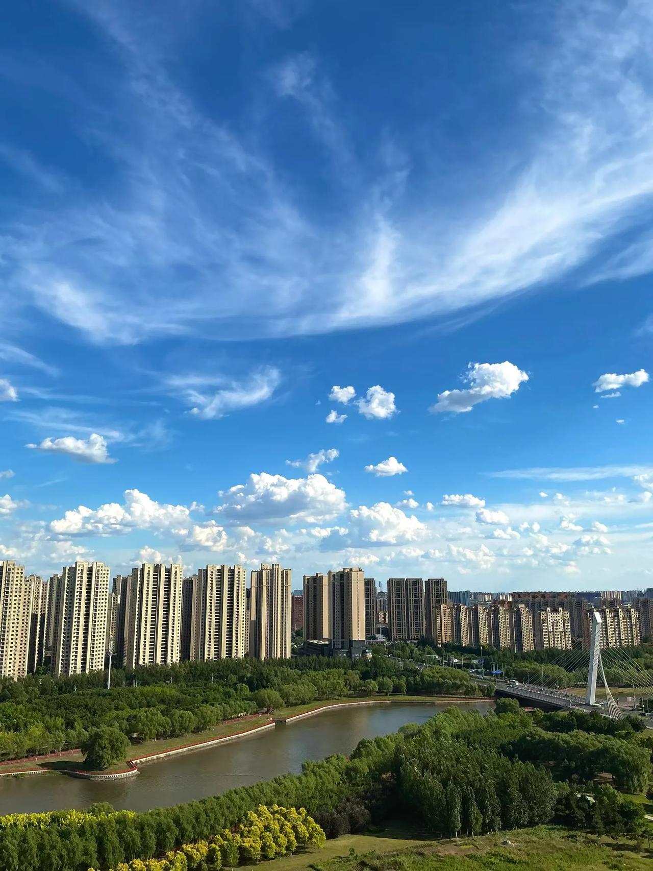 今天7月17日辽宁体育类本科批正式开启投档录取  7月20日征集志愿
普通本科批