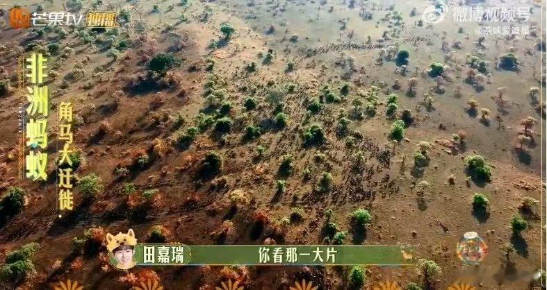 大胆开麦热气球是整季最佳  花儿与少年  我宣布，本季最佳旅行体验奖，颁给热气球