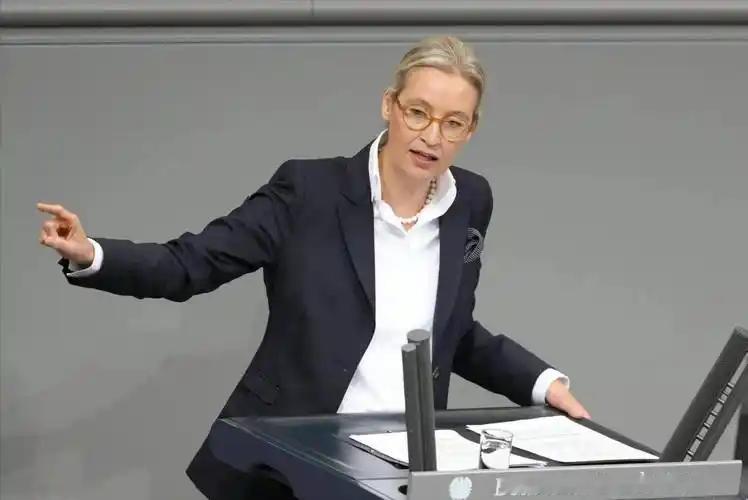 魏德尔没上台，俄气倒先到了？这情况不简单
德国选择党刚在东部两州选举中拿下历史性