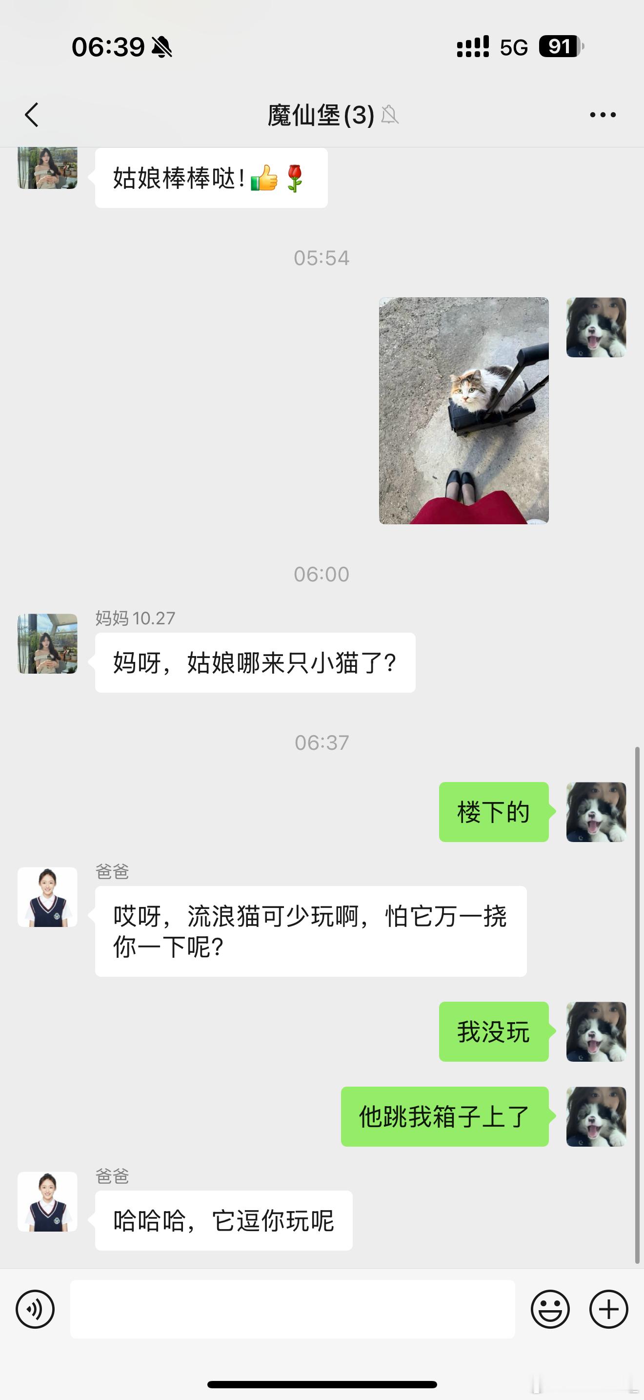 哈哈哈哈哈 谁能给猫发明一个逗人棒[太阳] ​​​