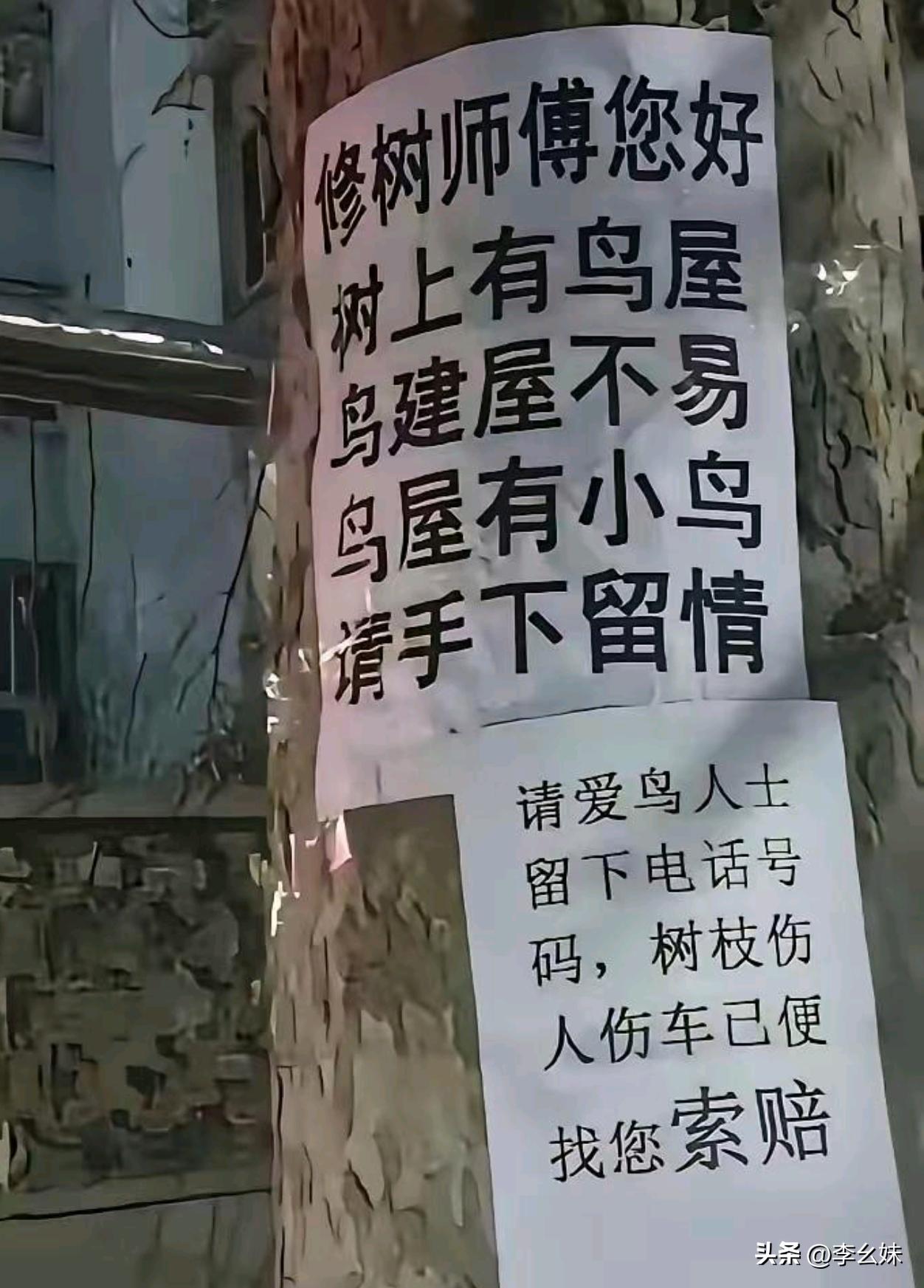 这种人谁来了也管不了吧