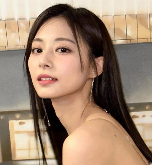 黄燕玲在台南注册了一家公司。
这个名字大陆这边没什么人听过。她女儿周子瑜，TWI