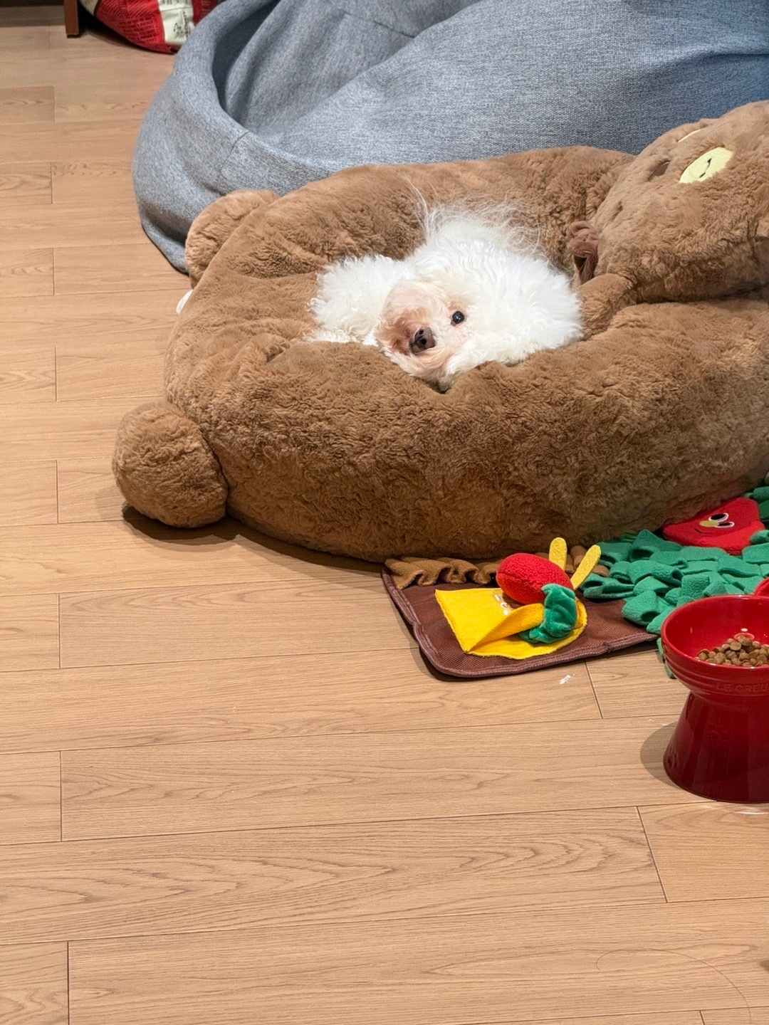 忙忙碌碌的年底 还有事情值得期待😊 ​​​