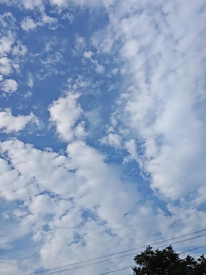 养生别乱花钱！12个零成本好习惯，坚持胜过千元补品
 
太多人踩养生大坑。
大把