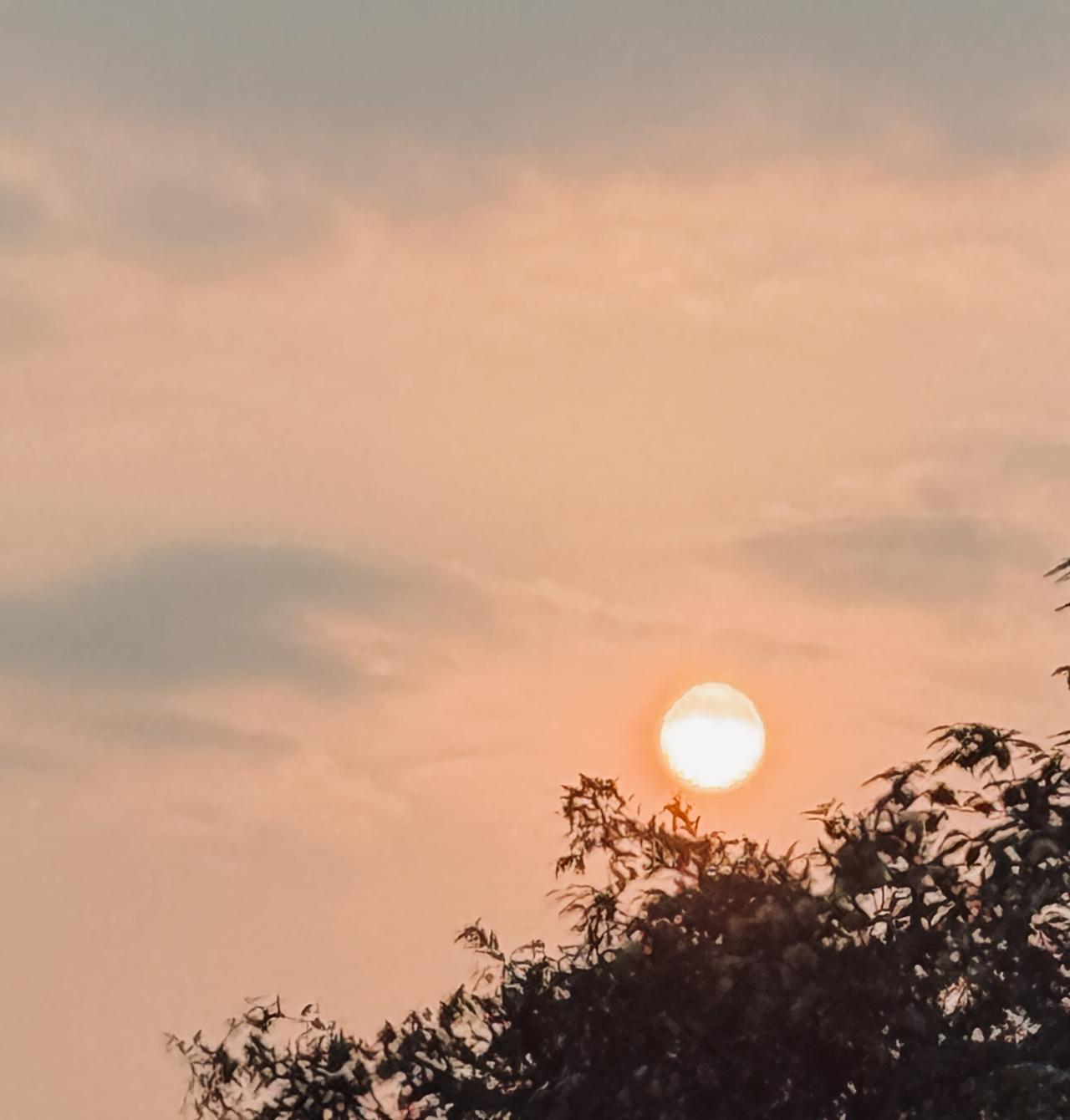 “日中友好成人仪式”活动4月11日在上海举行。日本媒体报道，参与的学生人数多于去