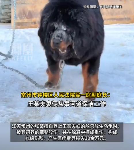“不作死就不会死！”江苏，一夫妻从事河道保洁工作，长期住在自家船上，为保护家产养