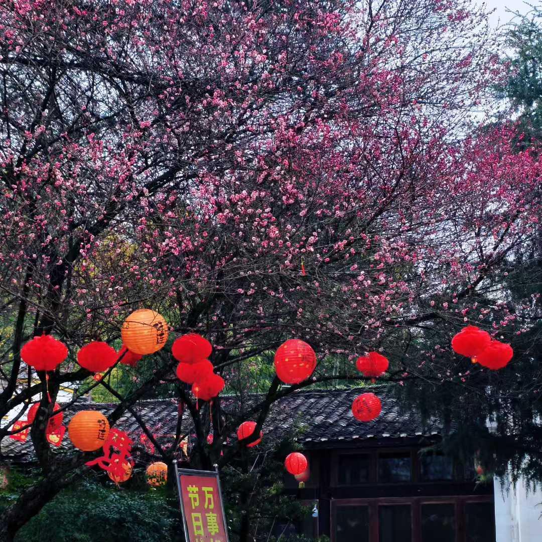 人间逢小年，所求皆如愿。愿新岁纳吉，万事兴，岁安平。往后的日子都是崭新的，不必回