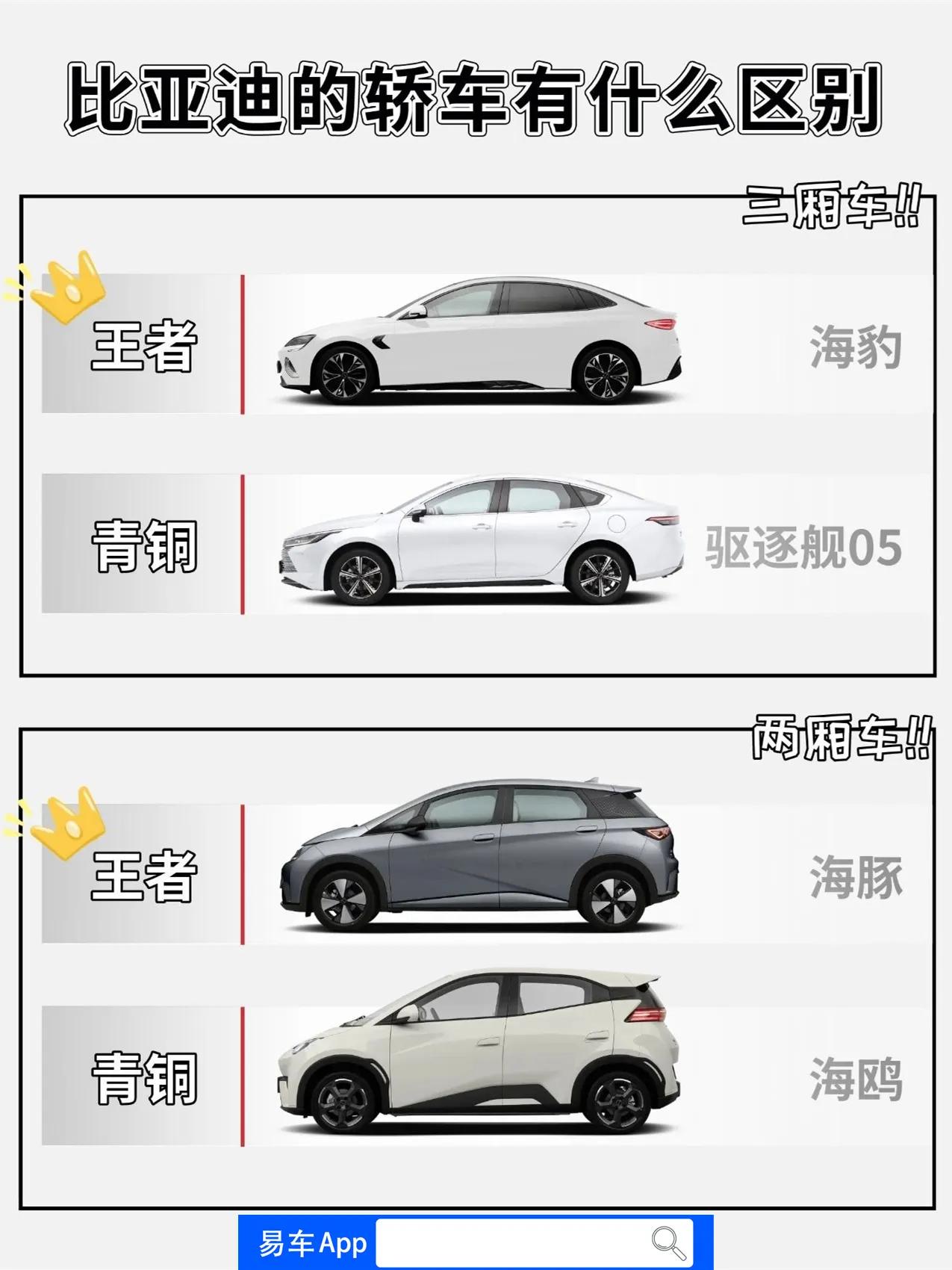 比亚迪海洋系列是比亚迪旗下的一系列新能源汽车，主要针对年轻和运动化的市场需求，与