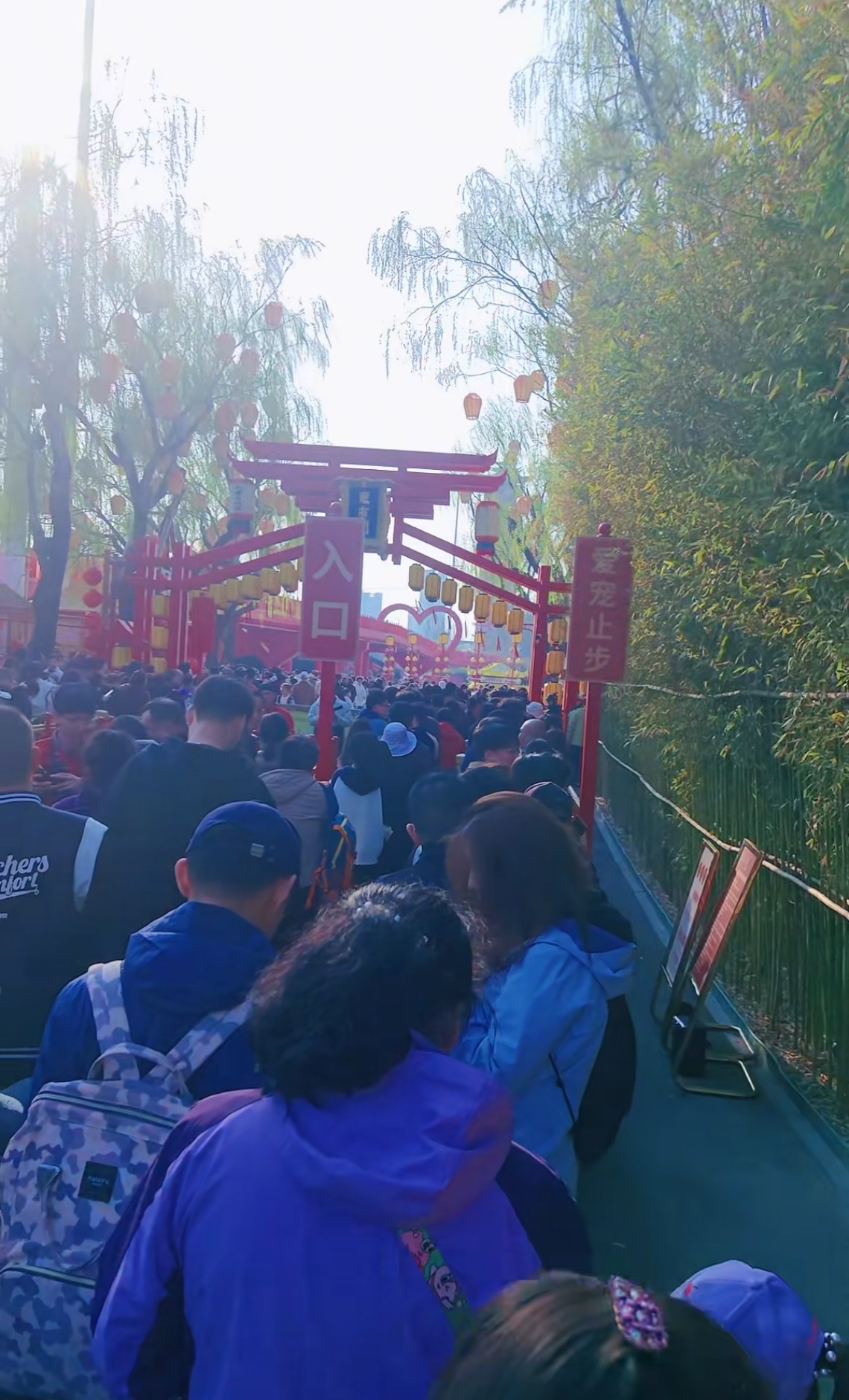 本来计划带孩子去唐山河头老街刷了一圈dy 我放弃了人人人人太多了大家假期准备去哪