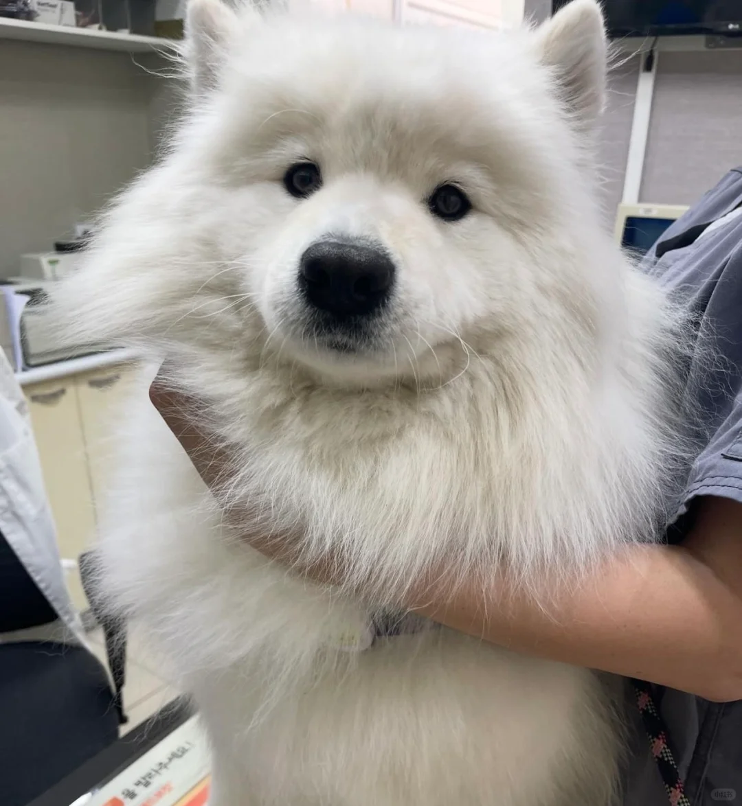 上个称就知道你几斤几两了