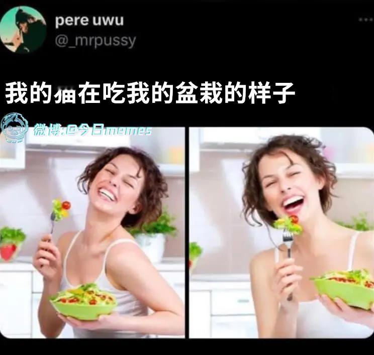 龇牙咧嘴（9gag）今日meme 今日memes