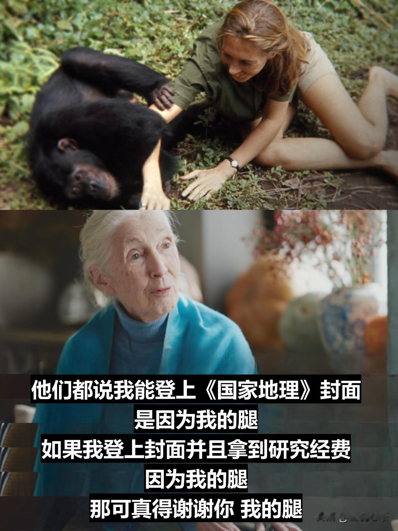 谁看珍·古道尔这期十三邀没哭啊！

重温珍·古道尔那期《十三邀》，瞬间破防了！