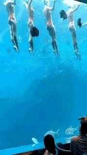 大海中有我们和未知世界

我虽怕水，却天天在手机上追海龟直播，看得入迷。

UN