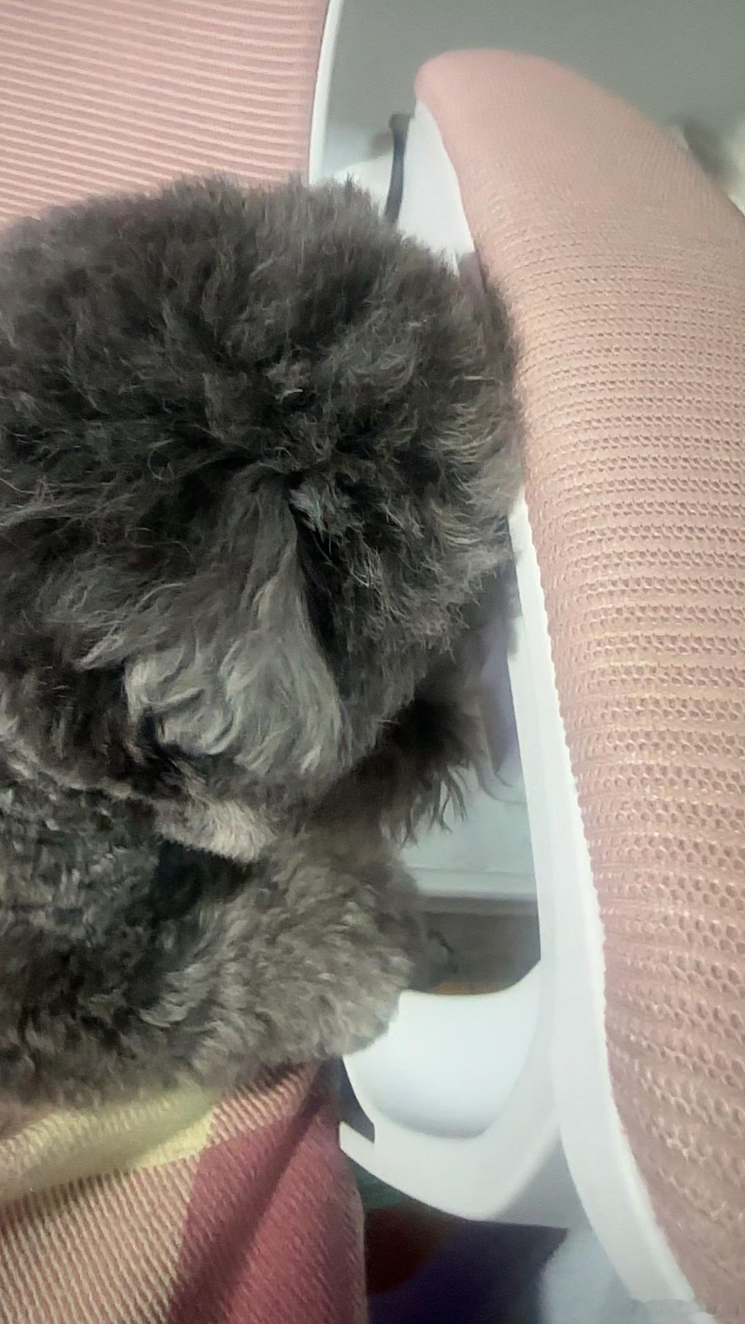 要拍多少张到底 