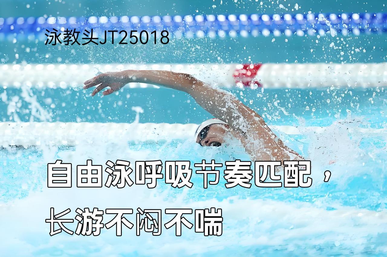 泳教头 | 泳讲堂：自由泳呼吸节奏匹配，长游不闷不喘
 
自由泳长游时胸闷、气喘