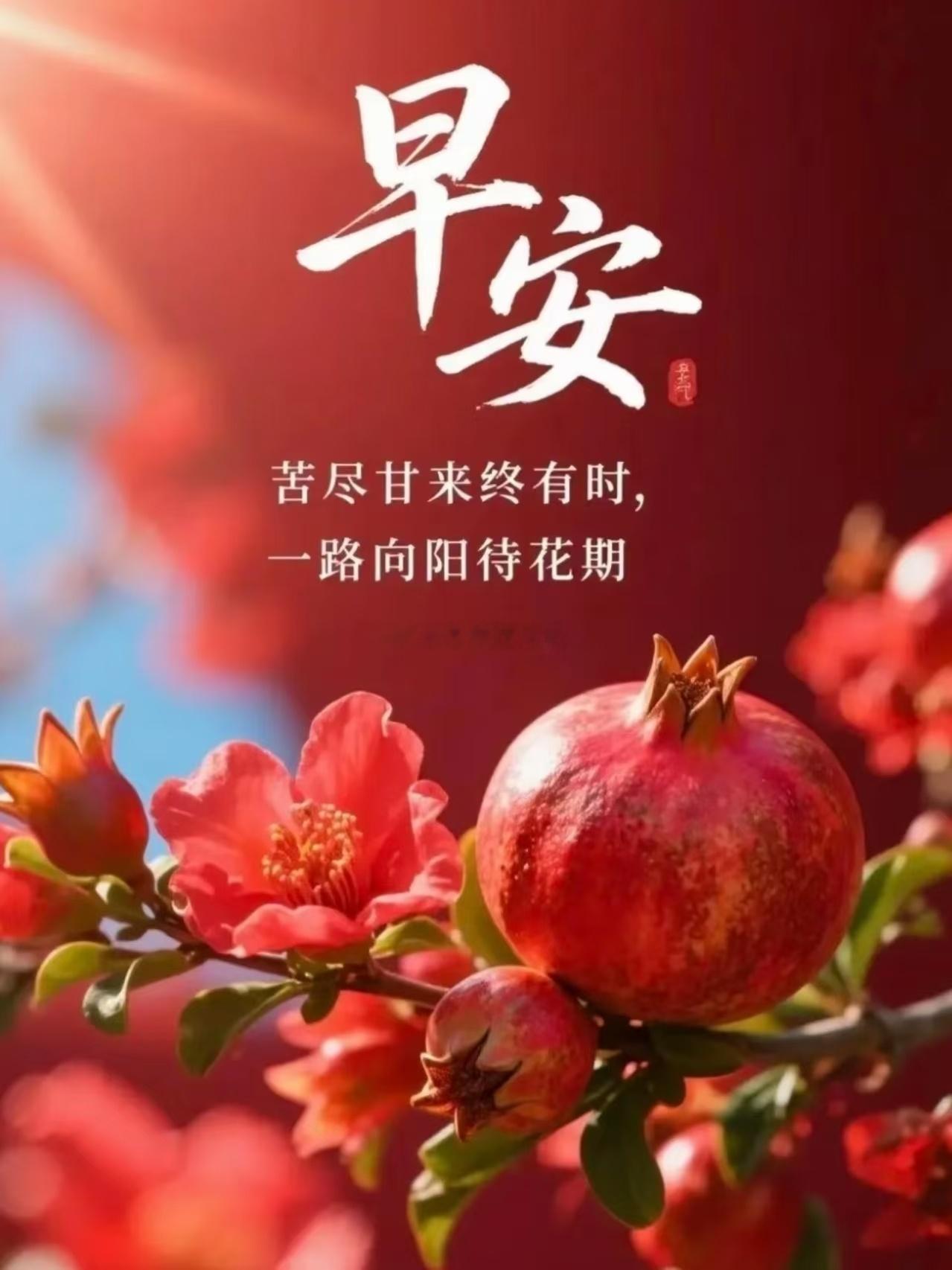 【周四，早安】起个早，问声好，愿你所见皆美好。一粥一饭的温暖，一花一草的芬芳，都