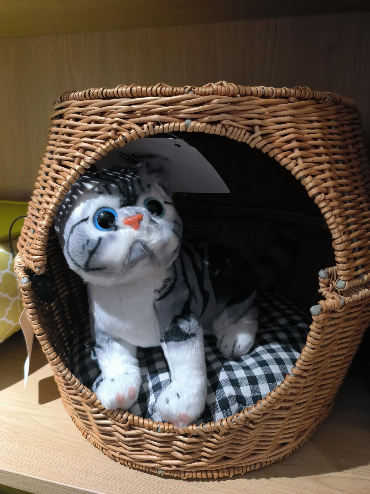 课间休息时间由10分钟调整为15分钟，学生自主活动时间相应增加。此次调整为上级明