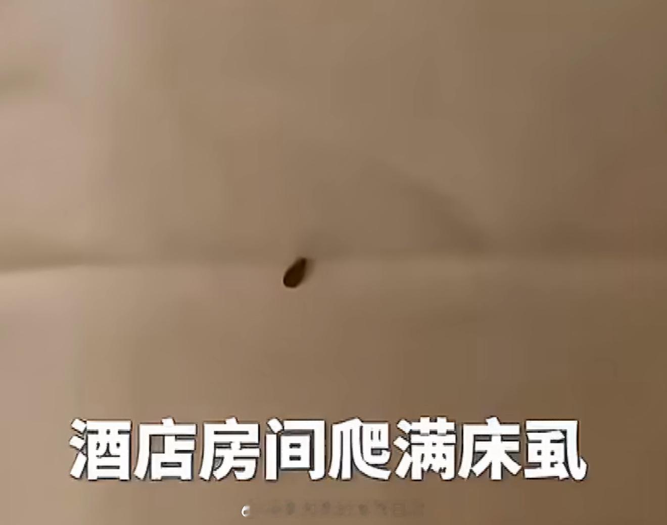 上海 床虱去年出去旅游也是，咬了一腿包回来，超级痒，后来买了药各种擦，我也不知道