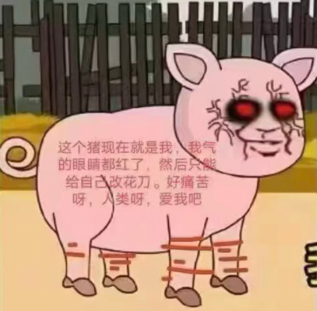 这个猪就是我呀 