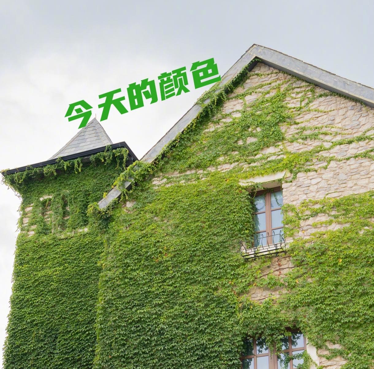 难受啊，我的股票持仓今天回撤了6个多百分点，但值得庆幸的是，周一出了50%的仓位