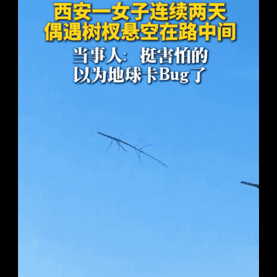 “彻底解释不清了！”西安，一女子在下班回家的路上，下意识抬头一看，竟然发现一根树