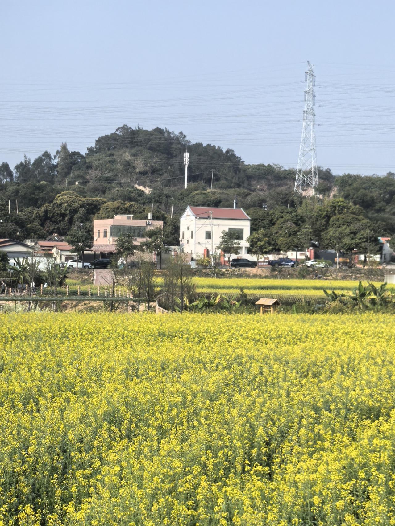 以前大家都往城里挤，
现在大家都朝田间跑。