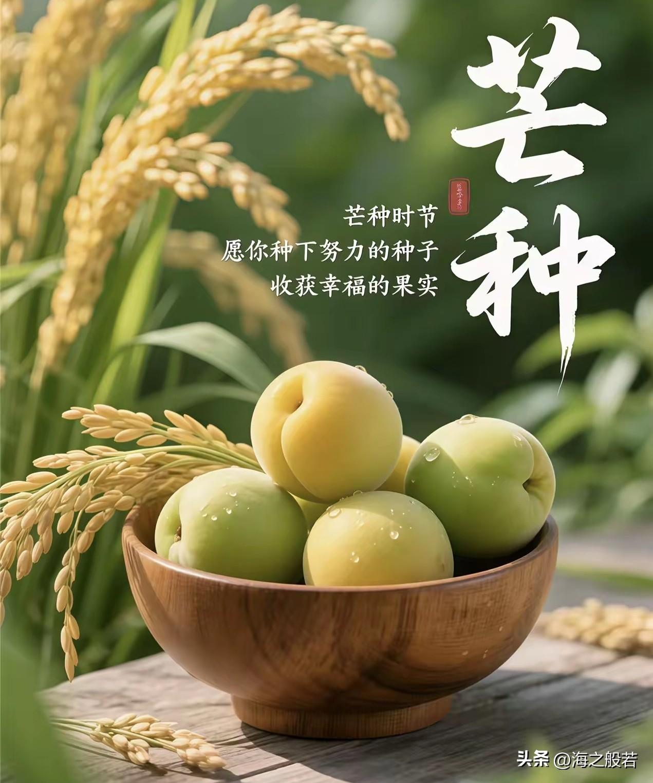 芒种
    ——海之般若

雨过，天蓝
万物生长得刚刚好
无数颗果实正在完成一