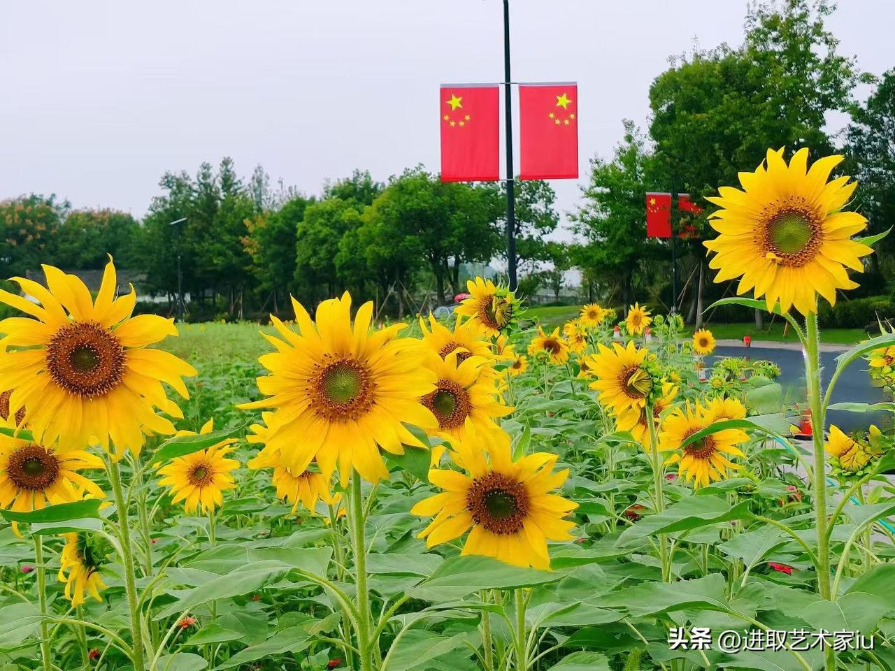 国庆佳节，杭州西湖主风景区人气爆棚，就去杭州周边的湘湖、白马湖、青山湖、铜鉴湖观