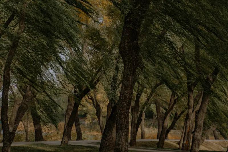秋风倚旧梦，
寒雨伴相知[笑哭][祝福][大金牙]