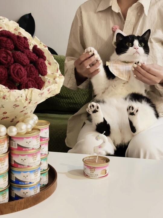 上班暂停！和咪一起过个纪念日～