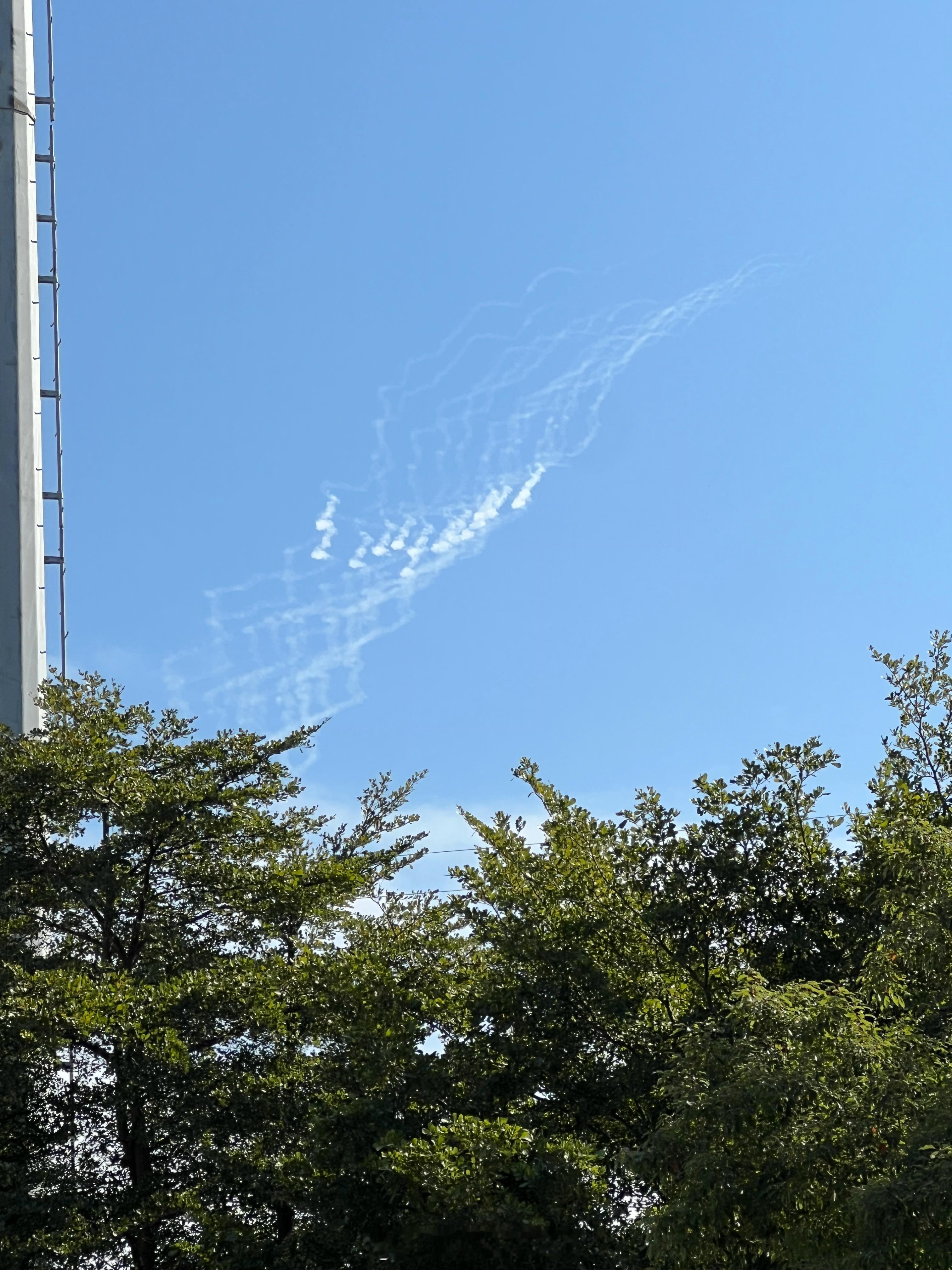 这是啥东西留下的？ 