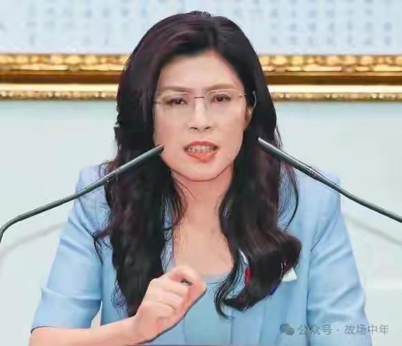 郑丽文自打有访美想法那刻起，她的政治前程就注定了会是“半途而废的结局！
访陆被高