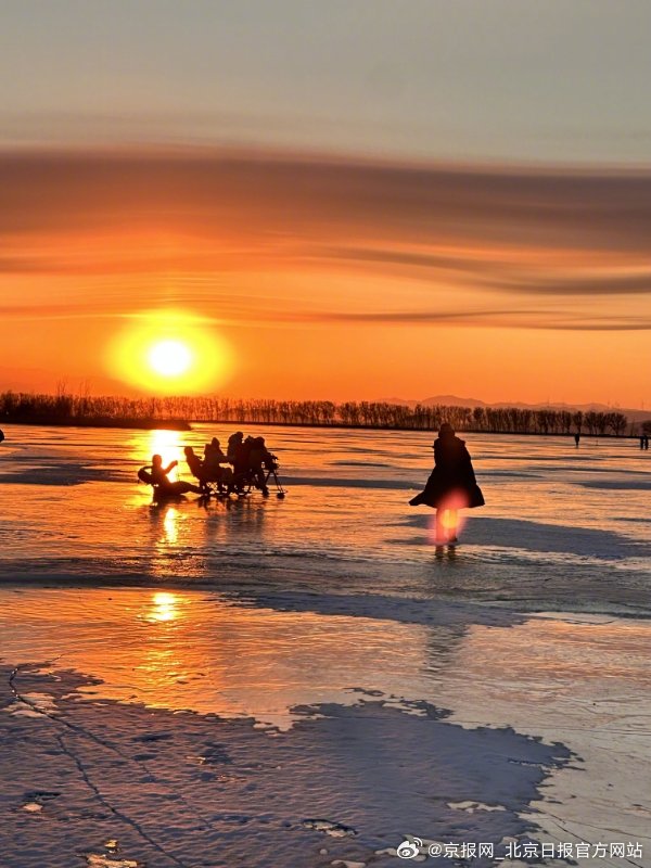 【#元旦来野鸭湖天然冰场打出溜滑#】#野鸭湖公园橘海落日太出片# 元旦假期，野鸭