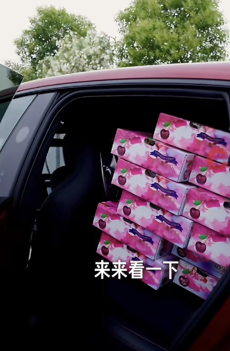 网友真会找茬
雷军发了个开小米yu7 装满600斤车厘子的视频也能被批评违反交通