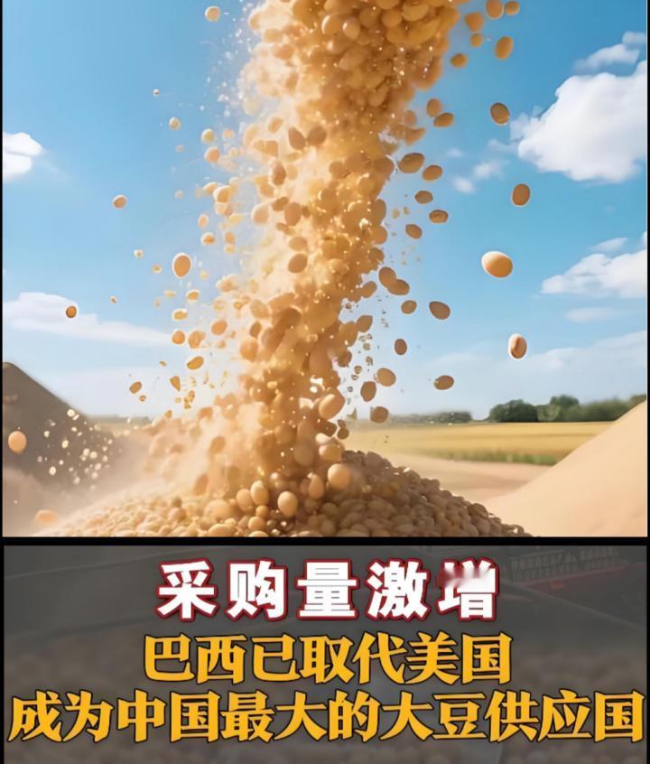 7年来首次！中国大豆进口大转向， 美国豆农恐损失数十亿！释放三大关键信号！

据