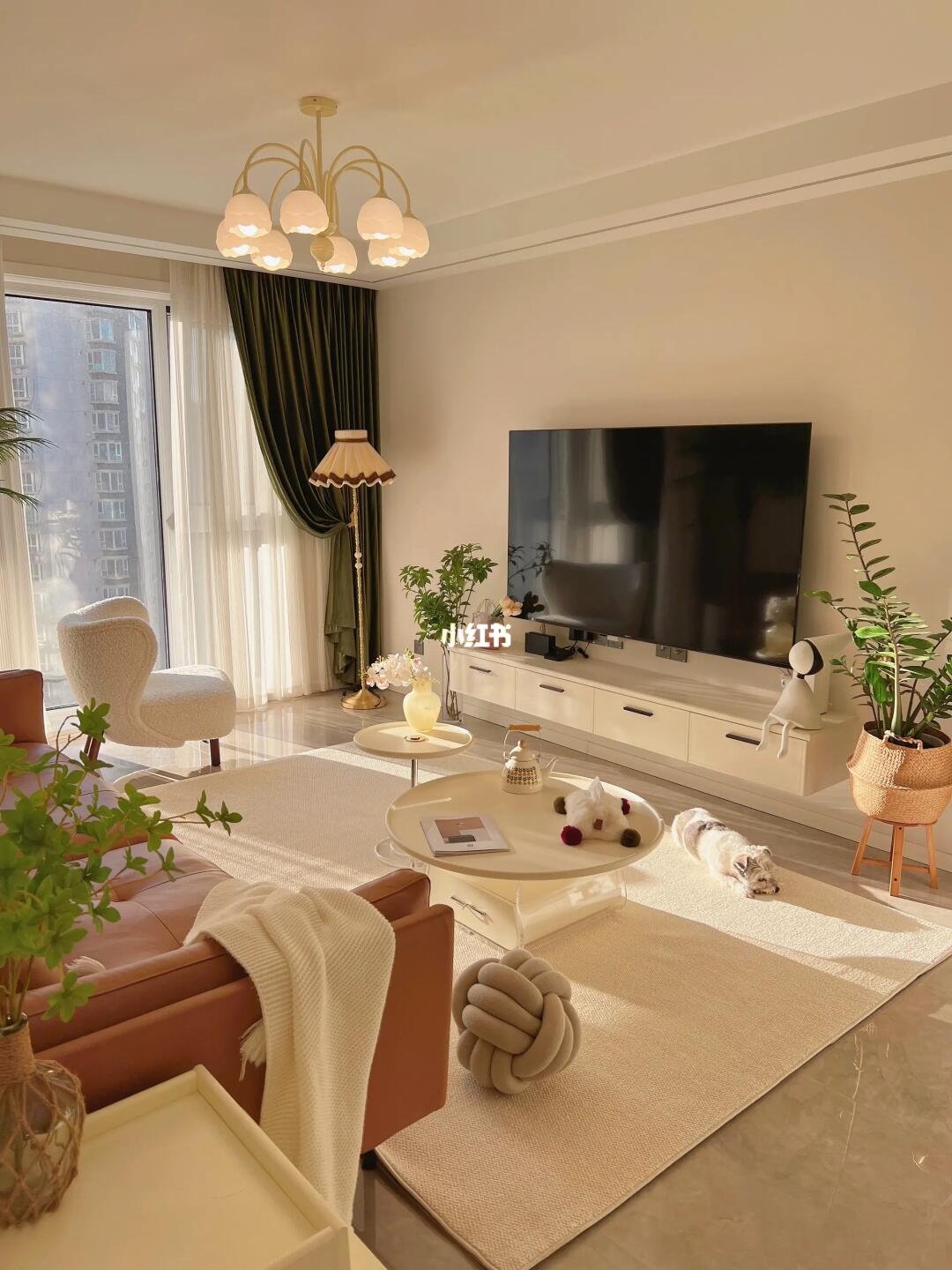 我家户型一般，但阳光绝了☀️