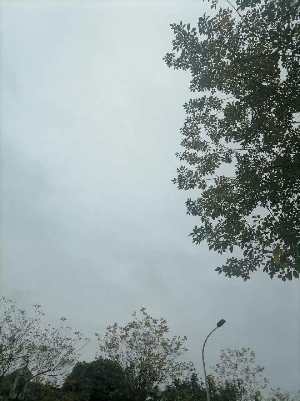 今天（25日，周三，上九日/拜天公）锋面影响下，福州全市各地天气阴，夜里有小雨，