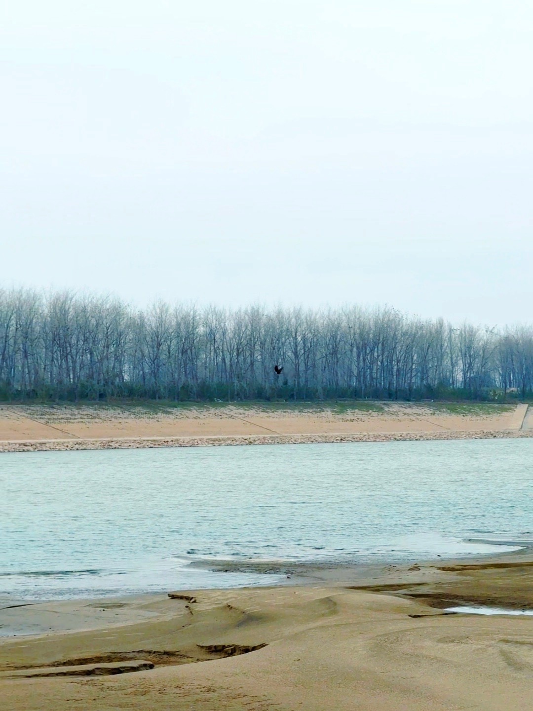 总在放弃给你擦眼泪的人，却总在等待让你掉眼泪的人 