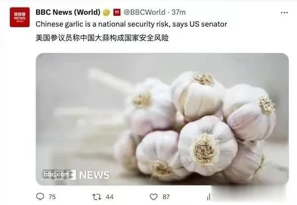 美国参议员指控，共产主义中国的大蒜构成重大国家安全风险。
       美国共和