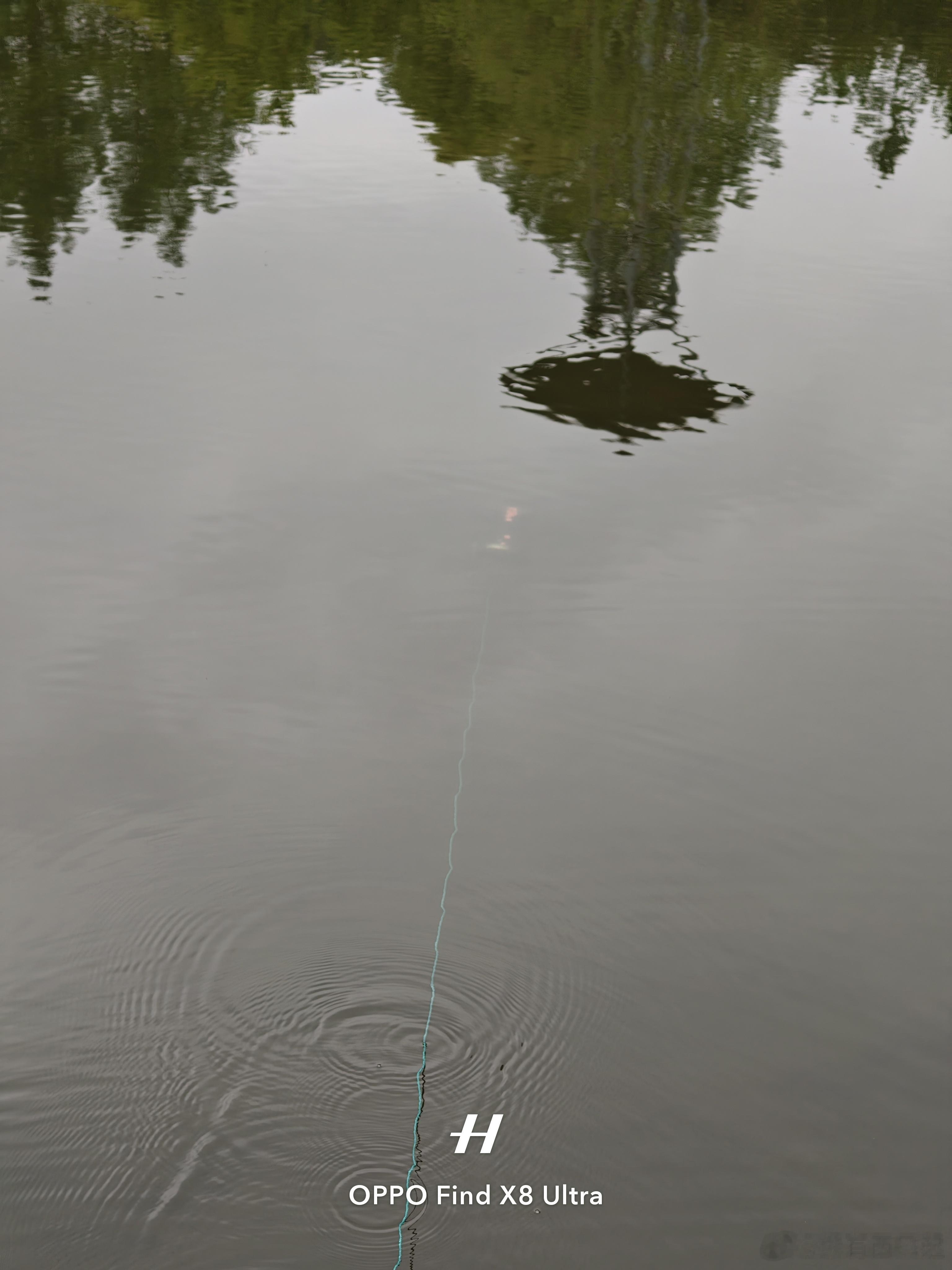 试了下捕鱼神器，结果空军了，感觉像是个智商税