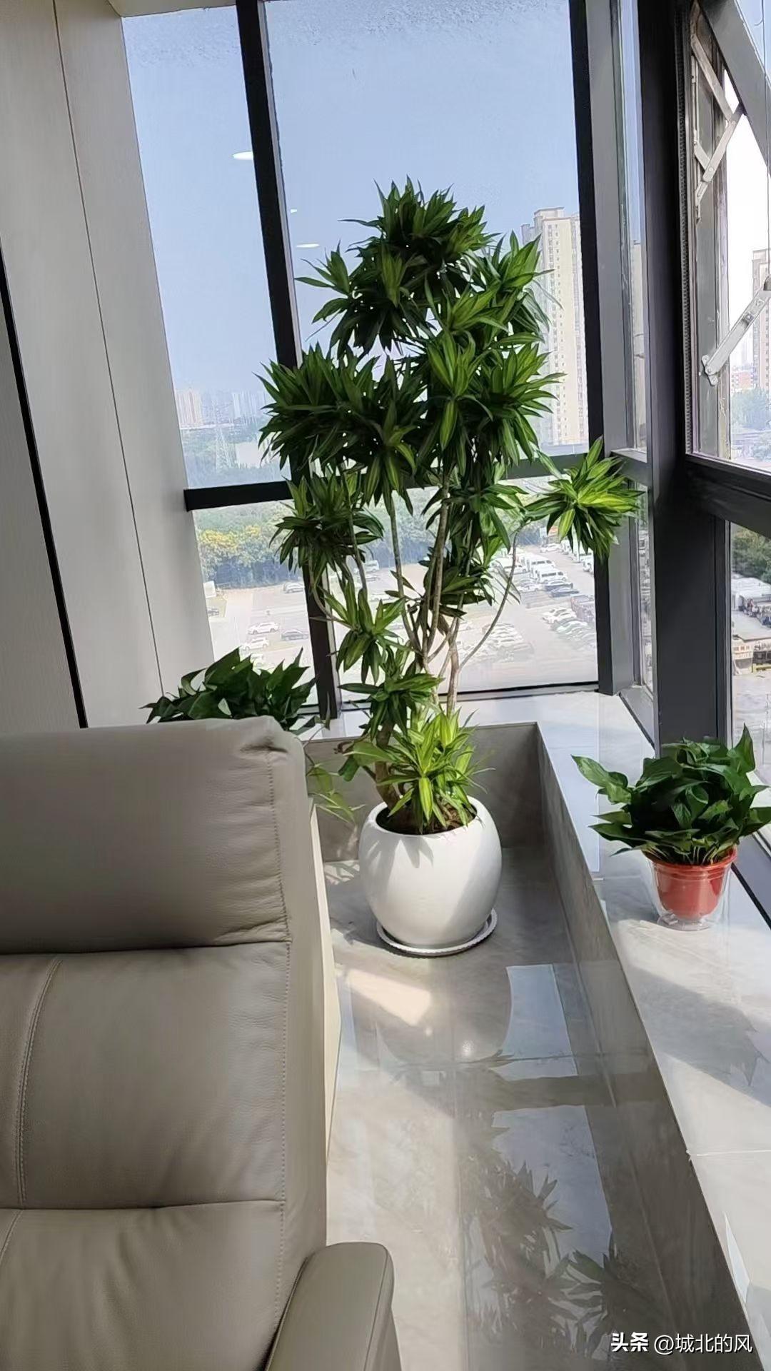 同事的女儿放弃了在西安的稳定工作，去男朋友所在的杭州去找工作。任父母苦劝也无济于